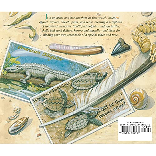 An Island Scrapbook: Dawn to Dusk on a Barrier Island