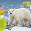 National Geographic Kids Extreme Records