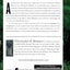 Jungleland: A Mysterious Lost City and a True Story of Deadly Adventure (P.S.)