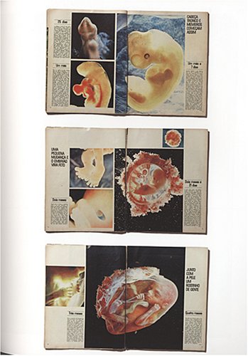 Things As They Are: Photojournalism in Context Since 1955