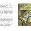 The Tale of Mr. Tod (Peter Rabbit)
