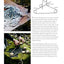Wood & Steam: Steam-Bending Techniques to Make 16 Projects in Wood (Fox Chapel Publishing) Steam-Bent Masterpieces and Step-by-Step Instructions to Make Coat Hangers, Chairs, Lampshades, and More