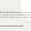 The Son of Good Fortune: A Luminous Coming-of-Age Story About an Undocumented Son and His Mother's Unbreakable Bond