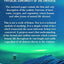 Worlds Beyond the Poles: Physical Continuity of the Universe
