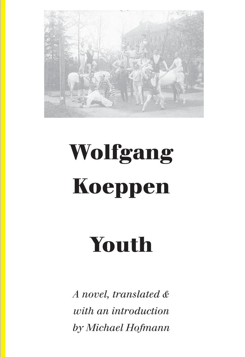 Youth: A Novel (German Literature)