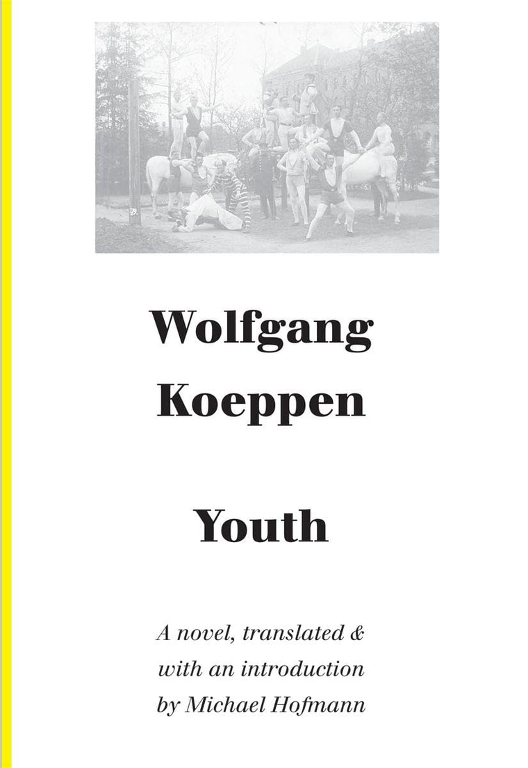 Youth: A Novel (German Literature)