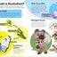 Pokémon Book of Evolutions