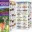 Michigan Wildlife: A Folding Pocket Guide to Familiar Animals (Wildlife and Nature Identification)