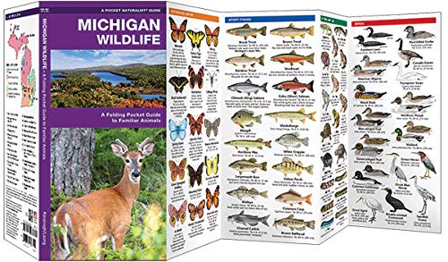 Michigan Wildlife: A Folding Pocket Guide to Familiar Animals (Wildlife and Nature Identification)