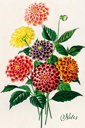 Notes: Dahlia Floral Blank Journal  Pretty Flower Bouquet Notebook  Vintage Retro Style Art