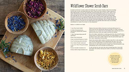 The Big Book of Homemade Products for Your Skin, Health and