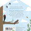 Bird House (A Clover Robin Book of Nature)