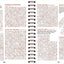 Brain Games - Relax and Solve: Word Search (Coral)