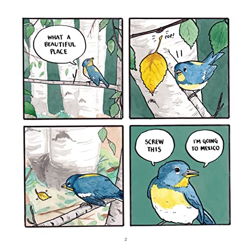 False Knees: An Illustrated Guide to Animal Behavior