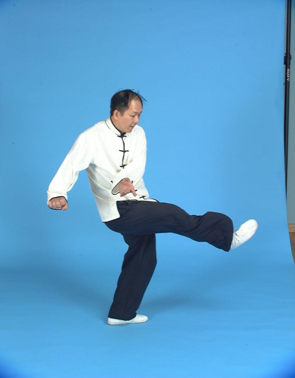Shaolin White Crane: Hard and Soft Qigong DVD (YMAA) Dr. Yang, Jwing-Ming