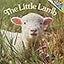 The Little Lamb (Pictureback(R))