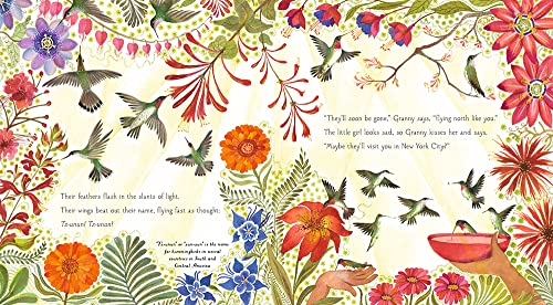 Hummingbird — back cover