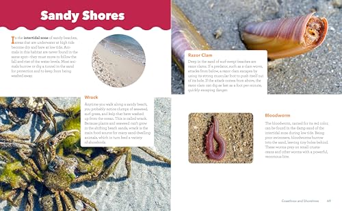 Ocean Animals and Their Ecosystems: A Nature Reference Book for Kids