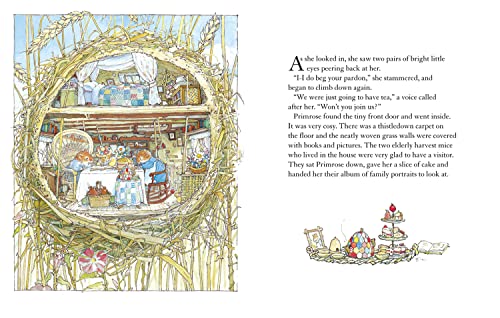 Autumn Story: Introduce children to the seasons in the gorgeously illustrated classics of Brambly Hedge!