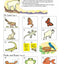 Draw Write Now Book 6: Animals and Habitats: On Land, Ponds and Rivers, Oceans