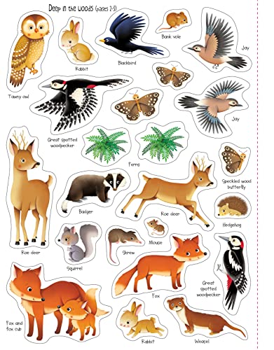 First Sticker Book Nature (First Sticker Books)