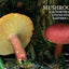 Mushrooms of the Northeastern United States and Eastern Canada (A Timber Press Field Guide)