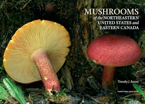 Mushrooms of the Northeastern United States and Eastern Canada (A Timber Press Field Guide)