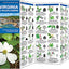 Virginia Trees & Wildflowers: A Folding Pocket Guide to Familiar Plants (Wildlife and Nature Identification)