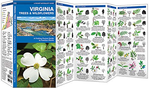 Virginia Trees & Wildflowers: A Folding Pocket Guide to Familiar Plants (Wildlife and Nature Identification)