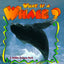 What is a Whale? (The Science of Living Things)