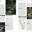 All About Creating Japanese Gardens