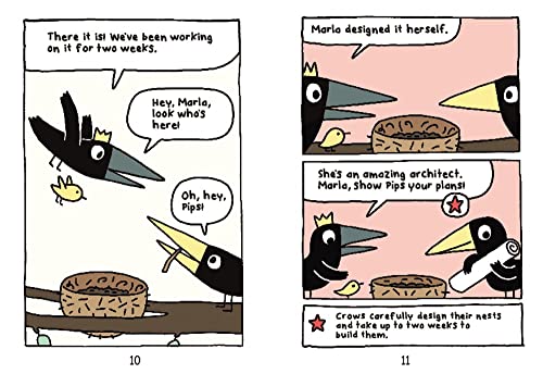 Arlo & Pips #3: New Kids in the Flock