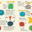 The Secret Life of Viruses: Incredible Science Facts about Germs, Vaccines, and What You Can Do to Stay Healthy