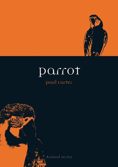 Parrot (Animal)