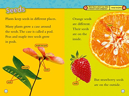 NAT GEO READER - SEED TO PLANT