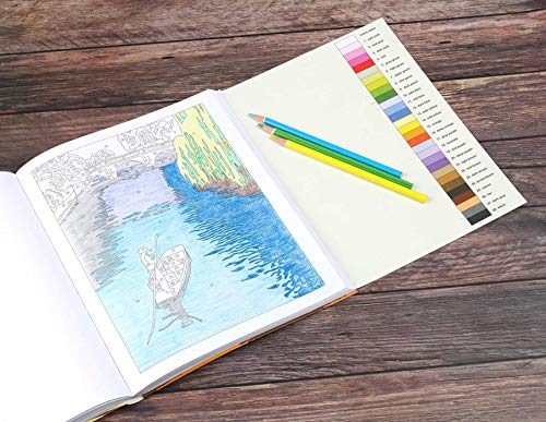 Large Print Calm Color-by-Number