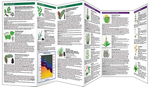Medicinal Survival Plants of the Rocky Mountains: A Folding Pocket Guide to Familiar Species (Outdoor Skills and Preparedness)