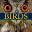 Firefly Encyclopedia of Birds