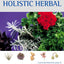 Complete Illustrated Guide to the Holistic Herbal