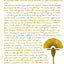 The Golden Mean: In Which the Extraordinary Correspondence o