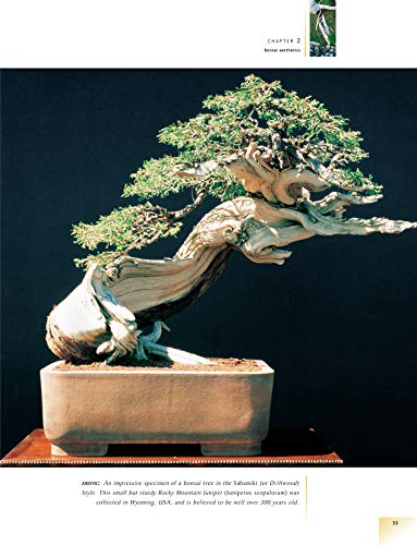 The Bonsai Handbook (IMM Lifestyle Books) The Science and Art of Bonsai from Anatomy to Aesthetics, and How to Grow Your Own, including Pinching, Pruning, Wiring, Holiday Care, and a Photo Gallery