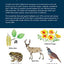 The Nature of California: An Introduction to Familiar Plants, Animals & Outstanding Natural Attractions (Waterford Press Field Guide)