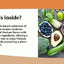 Salud! Vegan Mexican Cookbook: 150 Mouthwatering Recipes from Tamales to Churros