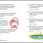 The Big Riddle Book for Kids: Tricky Puzzles