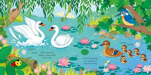 Bird Sounds: An Interactive Animal Activity Book Featuring Realistic Cuckoo and Duckling Calls (Sound Books)
