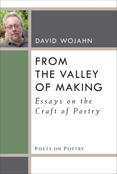 From the Valley of Making: Essays on the Craft of Poetry (Poets On Poetry)