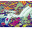 PAREIDOLIA: A Retrospective of Beloved and New Works by James Jean (Japanese Edition)