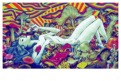 PAREIDOLIA: A Retrospective of Beloved and New Works by James Jean (Japanese Edition)