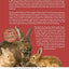 The Complete Guide to Small Scale Farming Everything You Need to Know About Raising Beef and Dairy Cattle, Rabbits, Ducks, and Other Small Animals Revised 2nd Edition (Back to Basics)