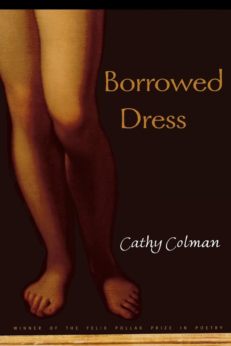 Borrowed Dress (Volume 2001) (Wisconsin Poetry Series)